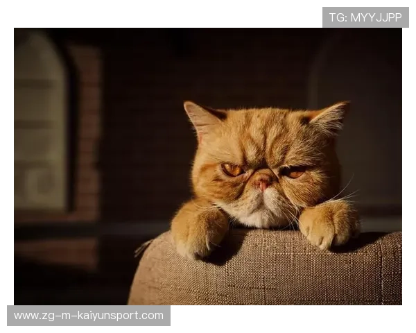 UFC经典瞬间揭秘：抱摔后砸地连击，瞬间终结对手的震撼瞬间